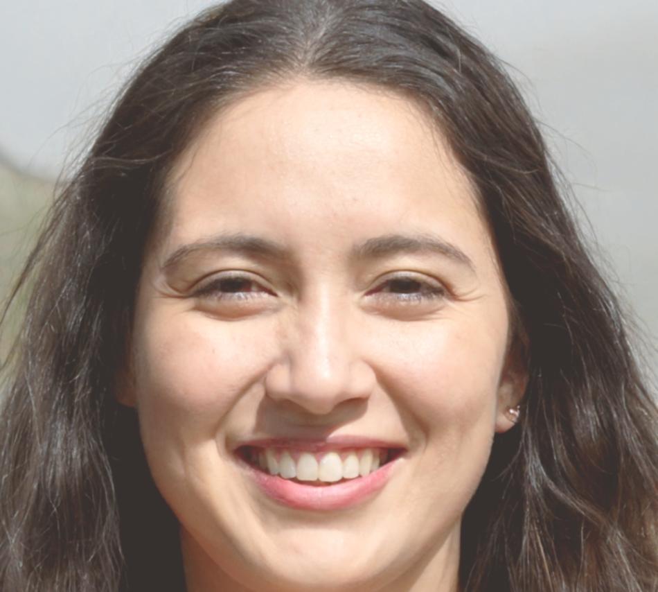 Frauke Lindgren, IT-Support